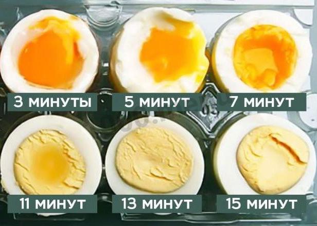 Как идеально сварить яйца - «Закуски»