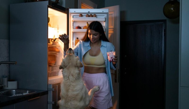 5 продуктов, которые в холодильнике портятся быстрее, чем вы думали: вот как хранить их правильно - «Кулинарные рецепты»